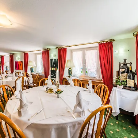 Hotel Goldener Sternen 2*